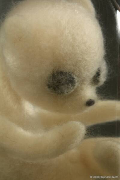 Teddy_Bear_Fetus_in_Jar_Ursulus_parvulus_Detail_op_400x600.jpg