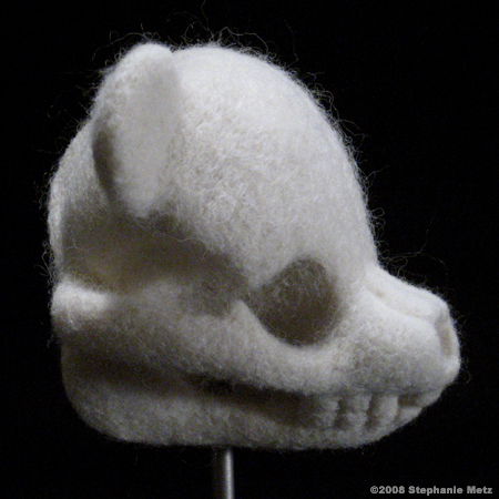 Teddy_Bear_Skull_Ursulus_nothoarchaeos_profile.jpg