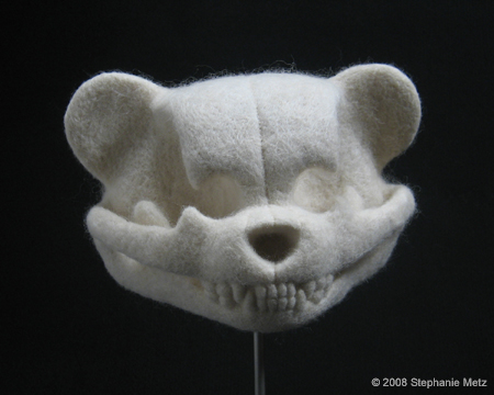 Teddy_Bear_Skull_Ursulus_prolixus.jpg