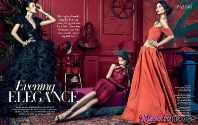 Harper's Bazaar Vietnam .