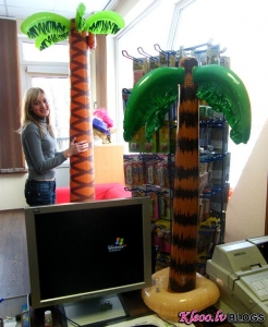 Ziemā pie mums birojā palmas!