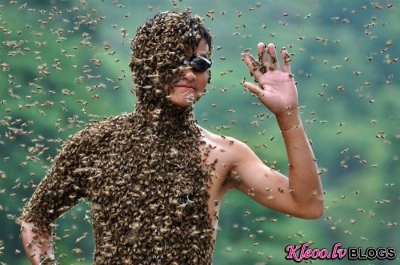 27 килограммов пчел