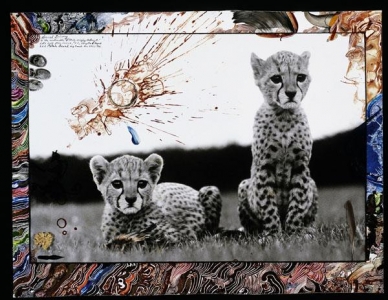 Альбом Peter Beard