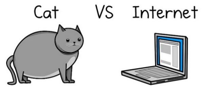 Kaķis vs. Internets