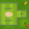 MiniGolf
