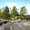 Dirt bike 2