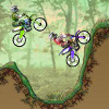 Dirt bike championship