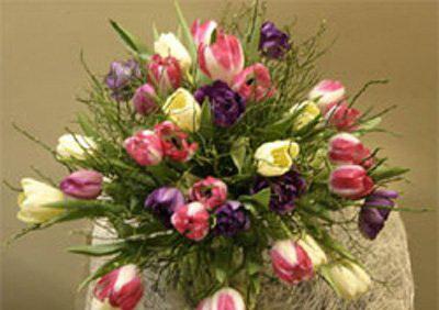 http://www.kleoo.lv/pics/textes_2704_2.jpeg
