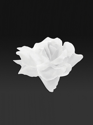 24 pcs, Roses, white, 9 cm 24 pcs, Roses, white, 9 cm