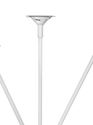Balloon stick and cup Balloon stick and cup