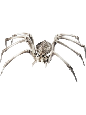 Zirnekļa skelets, 26 cm x 54 cm x 92 cm