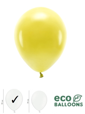 PD-ECO30P-084C