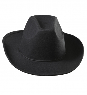 WDC-0492T