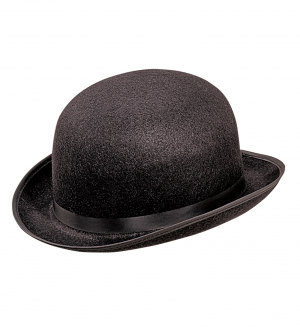 WDC-2479L