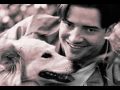 TOP 10 BRENDAN FRASER MOVIES 